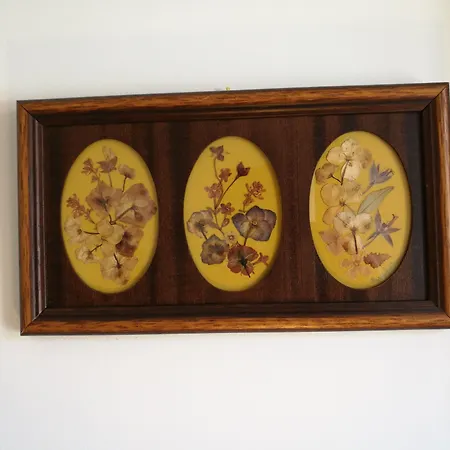 Discovery Estrela Apartmán