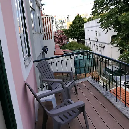 디스커버리 에스트렐라 *