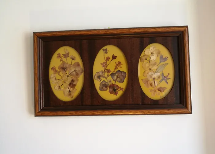 Discovery Estrela Апартаменты