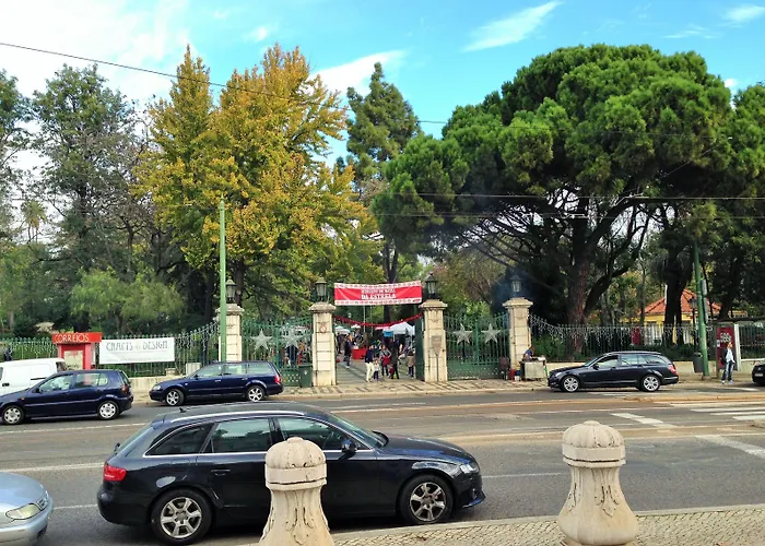 Discovery Estrela Апартаменты *