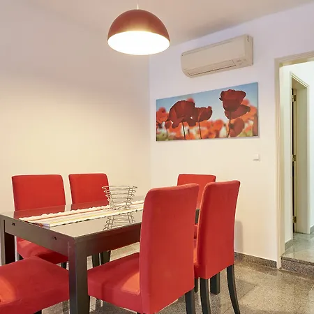 Apartment Discovery Estrela
